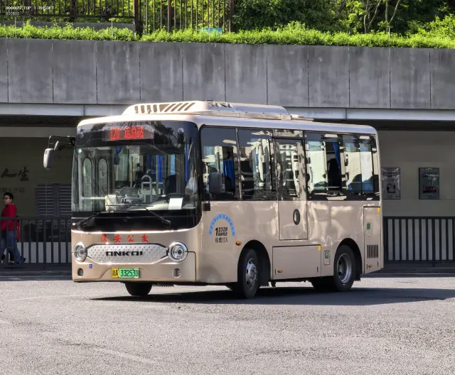浙A 33253D