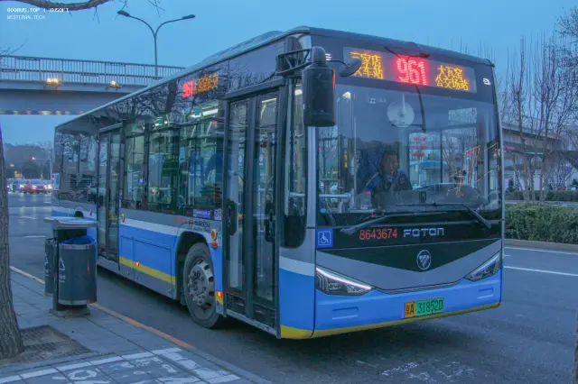 800BUS