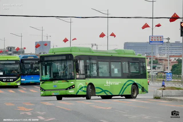 粤A 33233D
