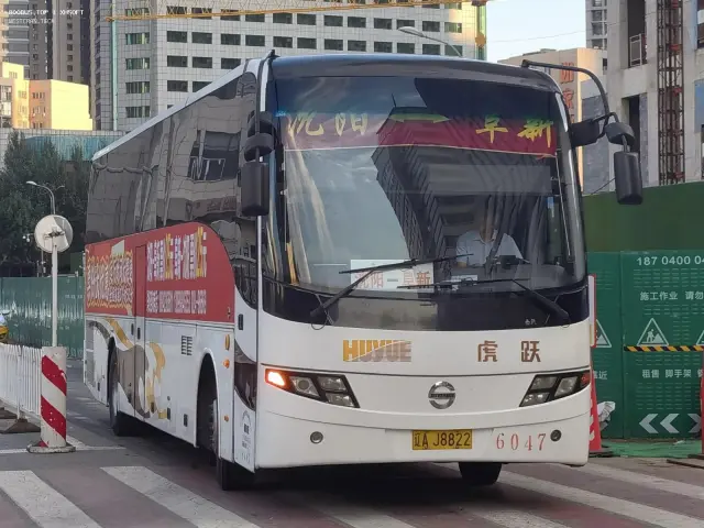 800BUS
