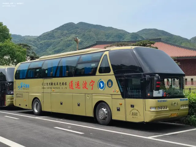 浙B 1D113