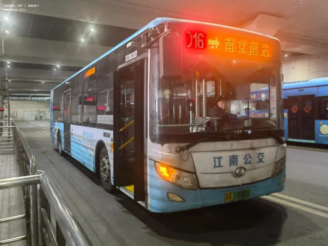 800BUS