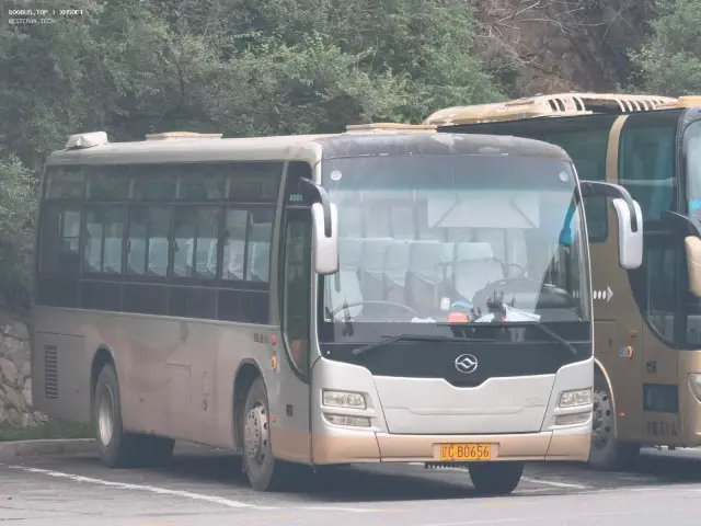 辽C B0656
