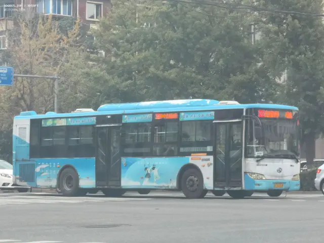800BUS
