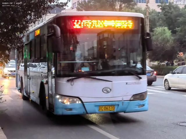 800BUS