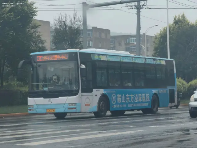 800BUS