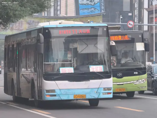 800BUS
