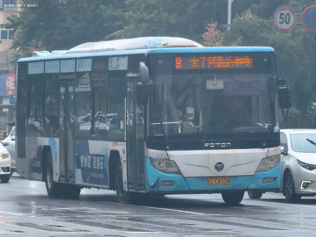 辽C C8338