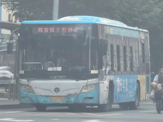 800BUS