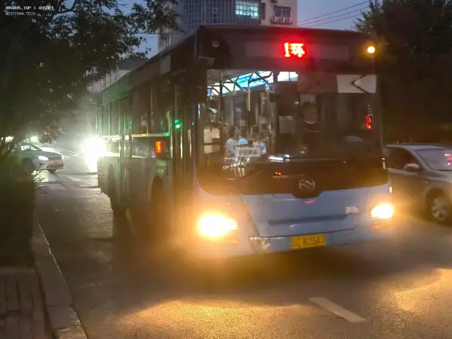 800BUS