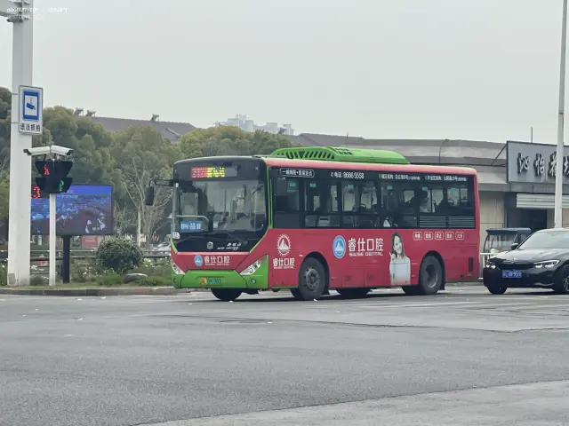 苏L 09190D