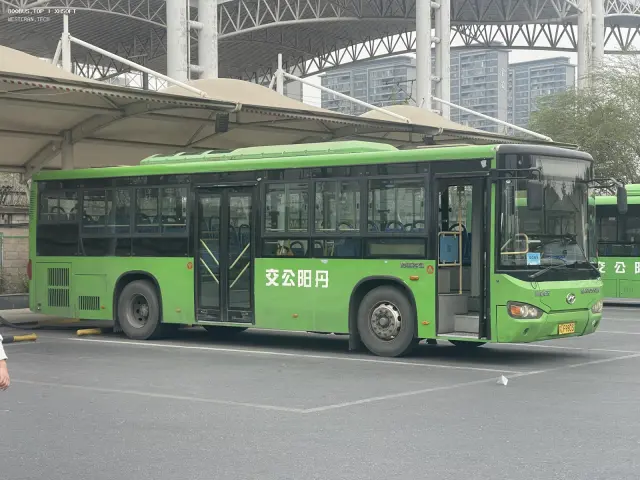 苏L F9803