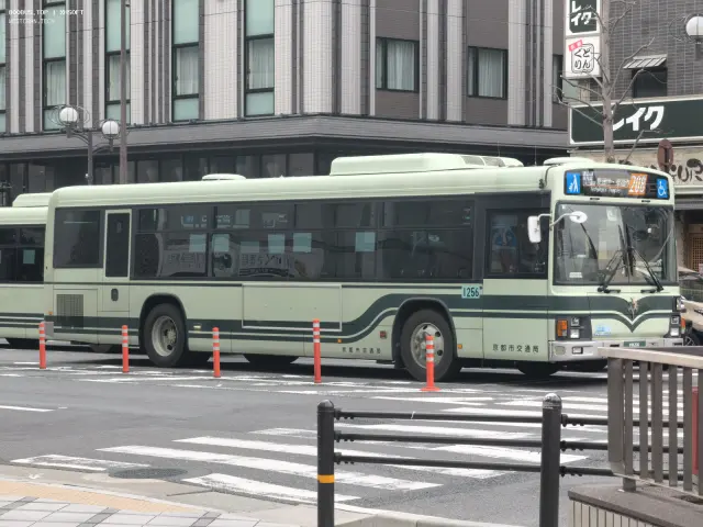 800BUS