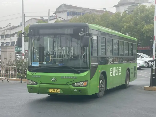 800BUS
