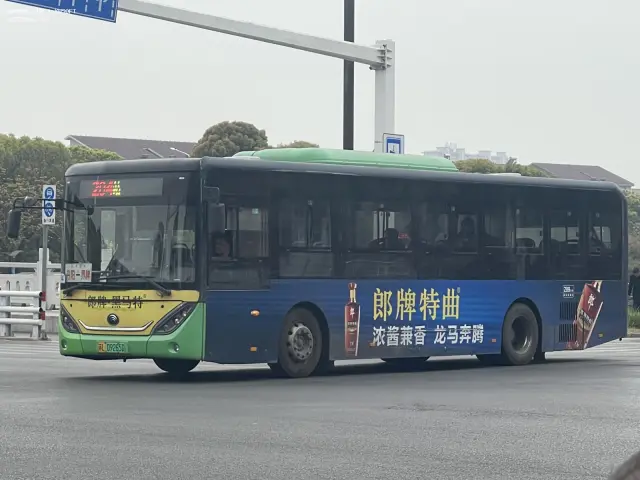 苏L 09265D