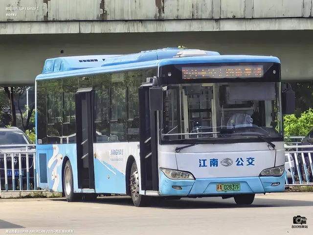 800BUS