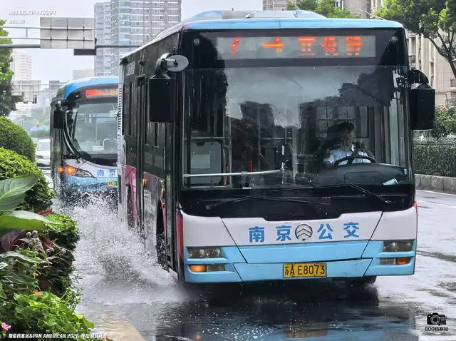 苏A E8073