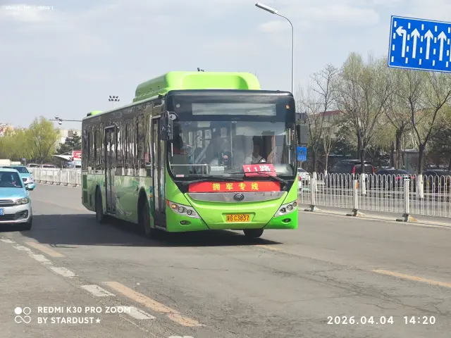 800BUS
