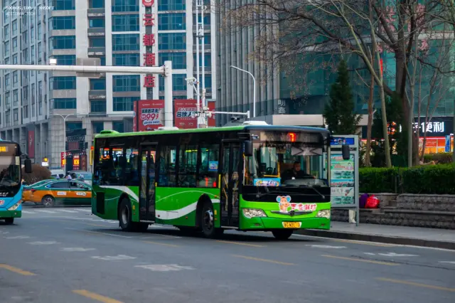 800BUS