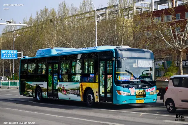 800BUS