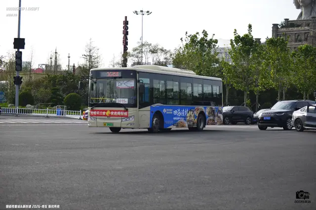 鲁B 09603D