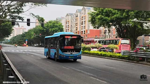 800BUS