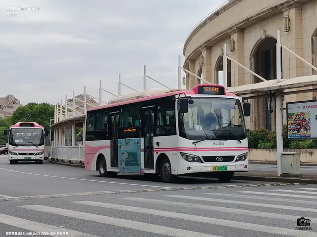 沪A 33025D