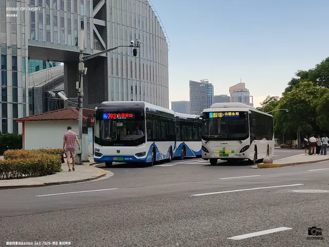 沪A 58858D 沪A 38063D