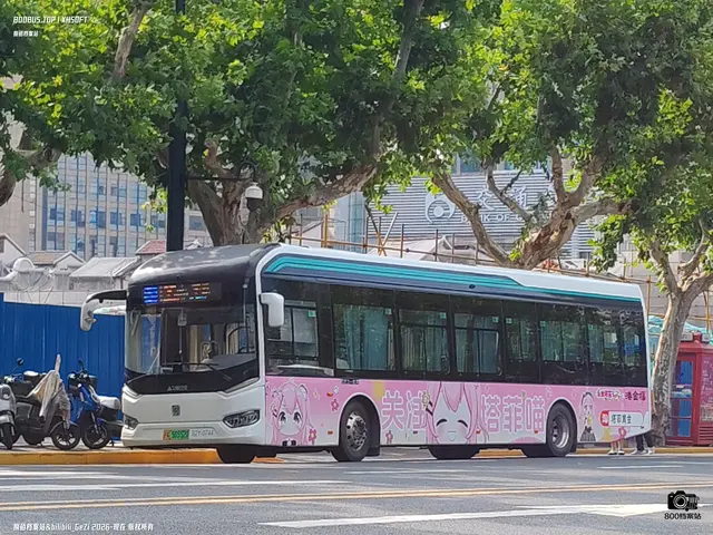 沪A 56552D