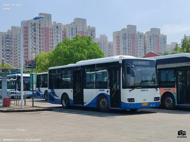 沪A T1624