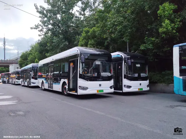 沪A 56921A，沪A 55120A