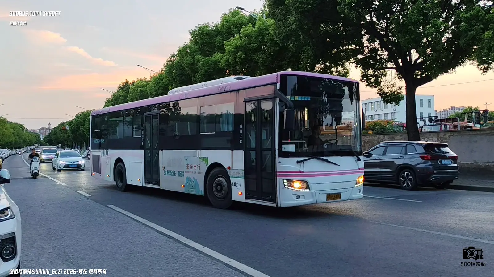 Bus Archive