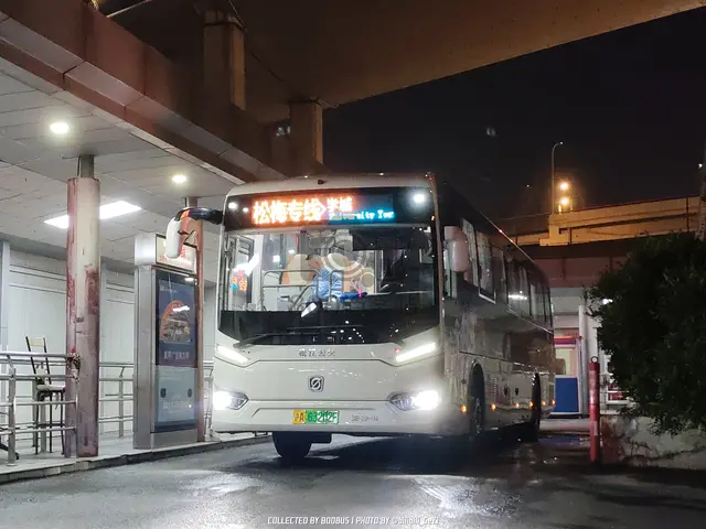 沪A 63202F