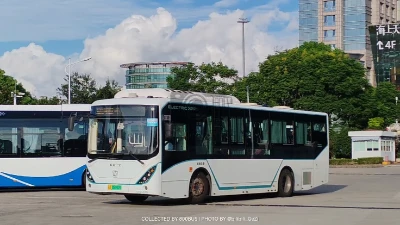 沪A 09912D