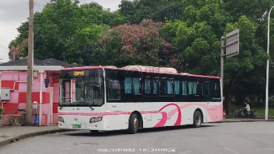 沪A 07455D