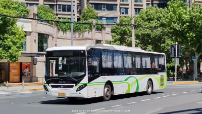 沪E D5381