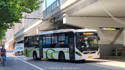 沪E D5313