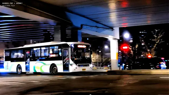 800BUS