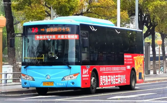 800BUS