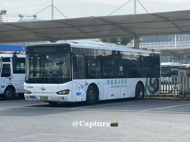 浙A01946F