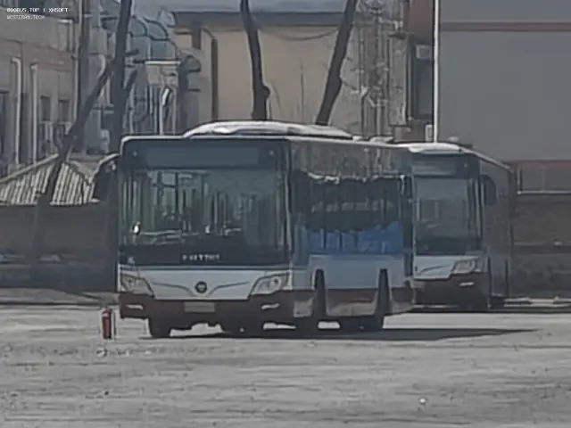 800BUS
