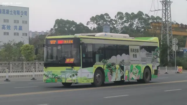 800BUS