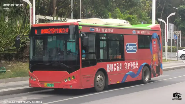 800BUS