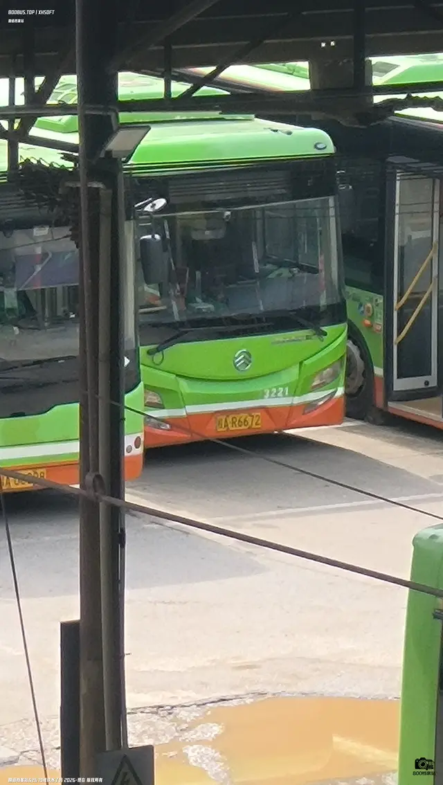 800BUS