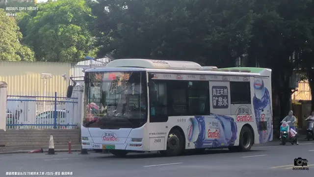 800BUS