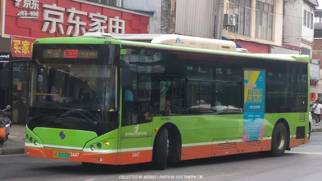 800BUS