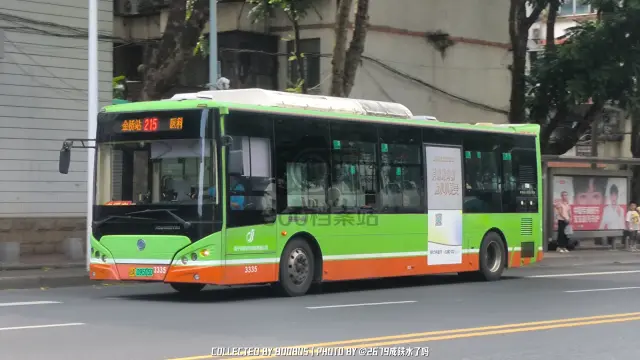 800BUS