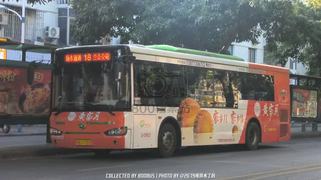 800BUS