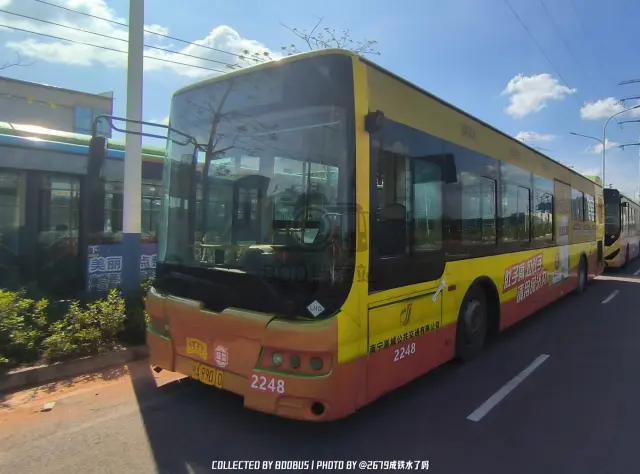 800BUS