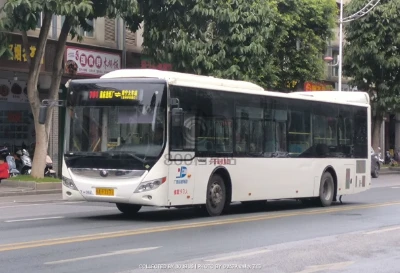 桂A F7171
